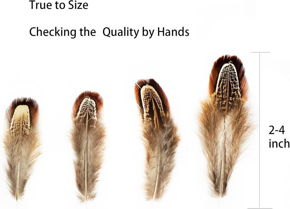 100 pcs Eco-Friendly Pheasant Feathers 2-3 inch for Crafting & Decorating