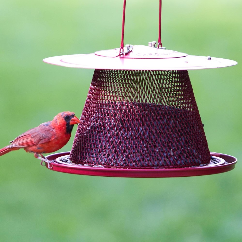 Elegant Red Cardinal Bird Feeder - 2.5 lb Capacity, Squirrel-Proof & Durable