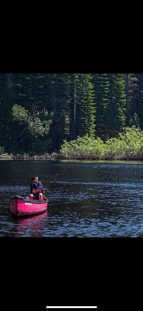 coleman canoes
