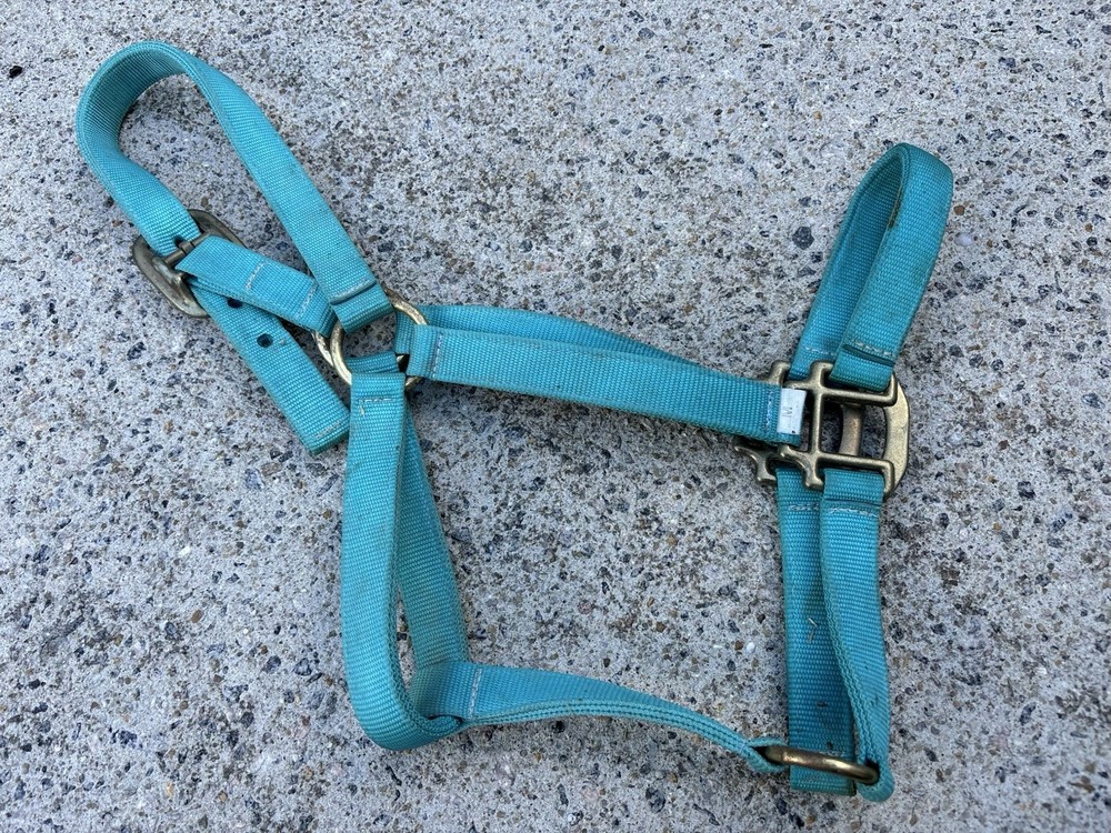 USED - Teal Blue Size Medium Horse Halter