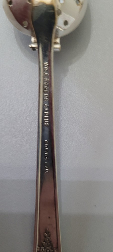 Wma Rogers AI Tea Spoon ~ Beautiful!