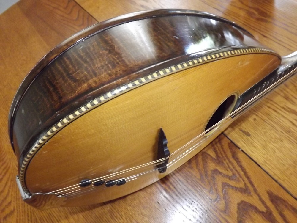 Rare Weymann Mandolute 100yrs old