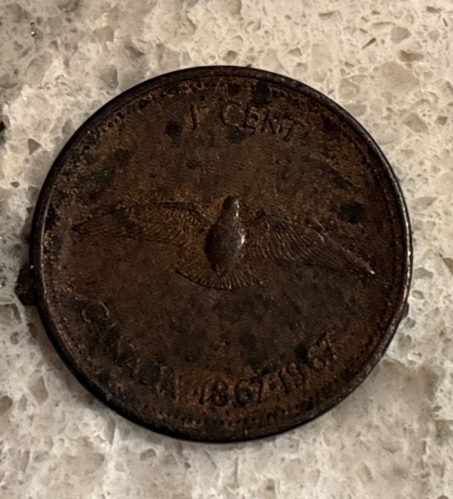 Foreign Coin Collection