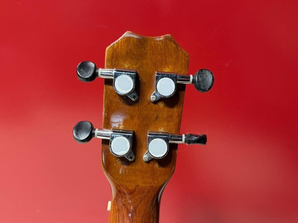 JINYUN striped pattern concert ukulele used