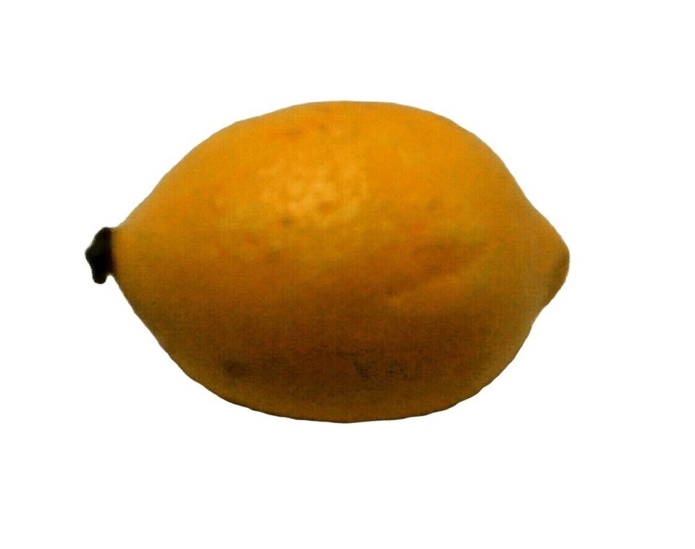 Artificial Lemon Plastic Fruit