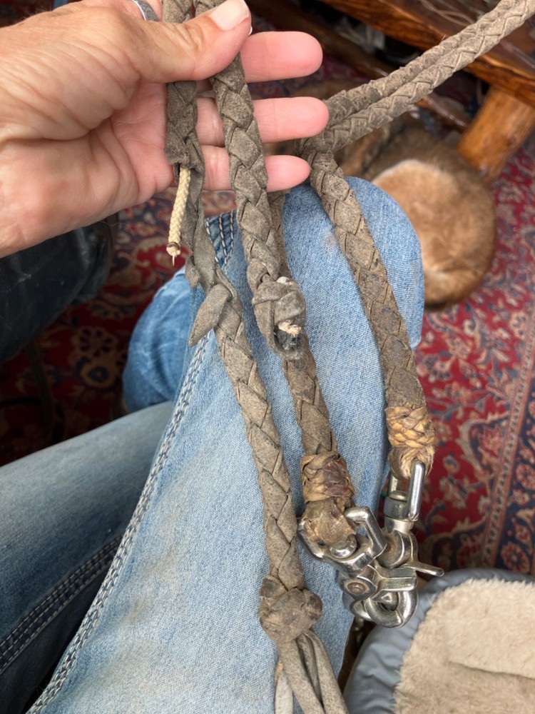 reins