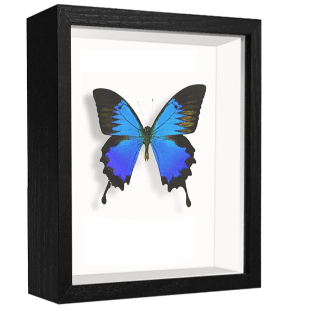 4x6 Small Shadow Box Frame Display Case , Display Case Box for Memorabilia, M...