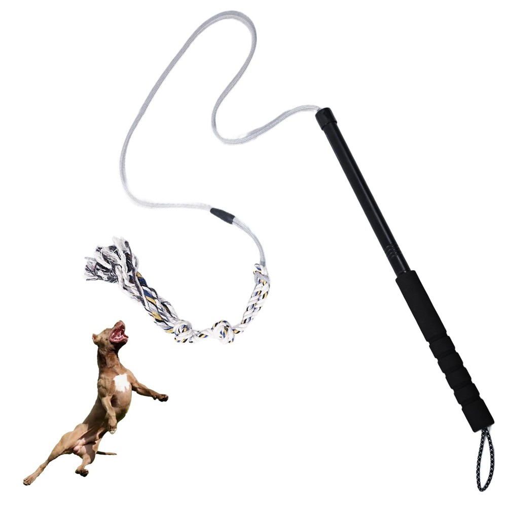 Durable Flirt Pole for Dogs - Interactive Training Tool for Small  Medium Dogs
