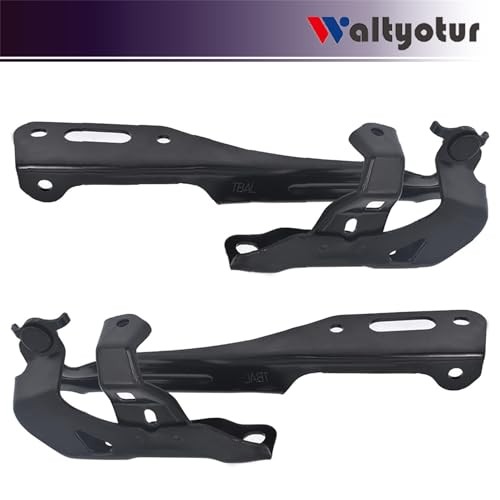 Left Driver and Right Passenger Side Hood Hinge Set Replacement for 2016-2019