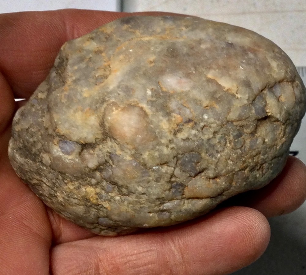 Dinosaur ARMOR PLATE