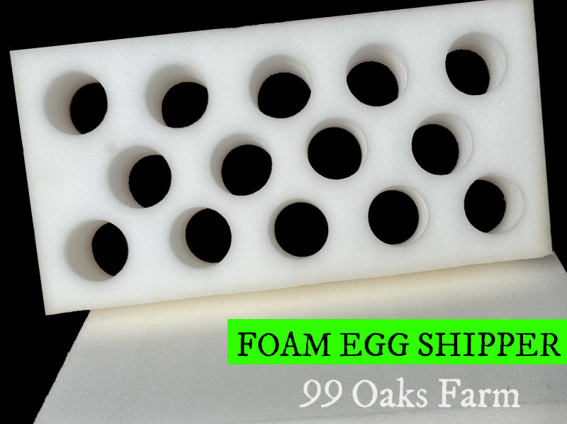 6 SETS - 14 Hole Foam Egg Shipper with Extra Thick Padding!