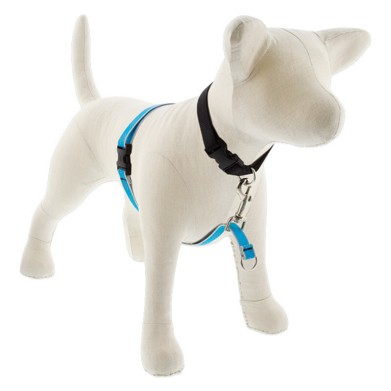 LupinePet NO-PULL TRAINING HARNESS - 3/4" MEDIUM, Blue Diamond reflective