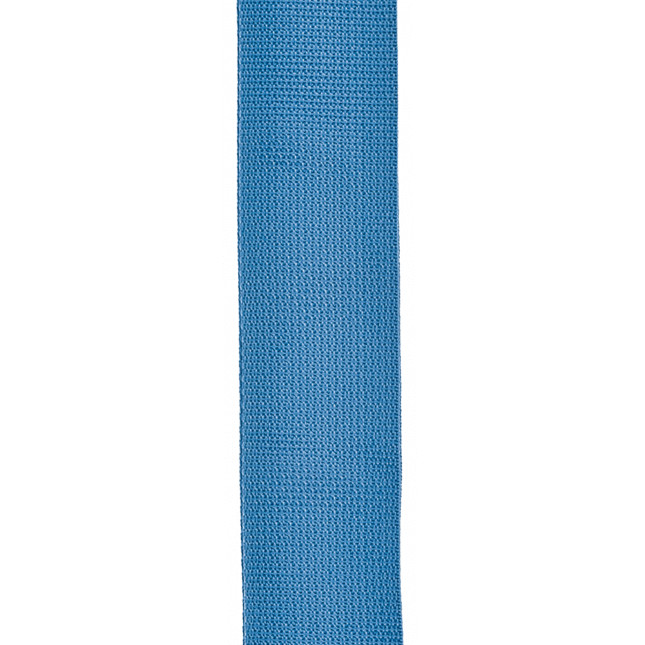 D'Addario PWSPA202 Acoustic Quick Release Guitar Strap, Blue