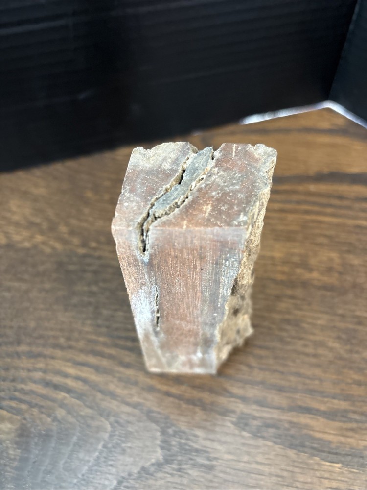Petrified Wood