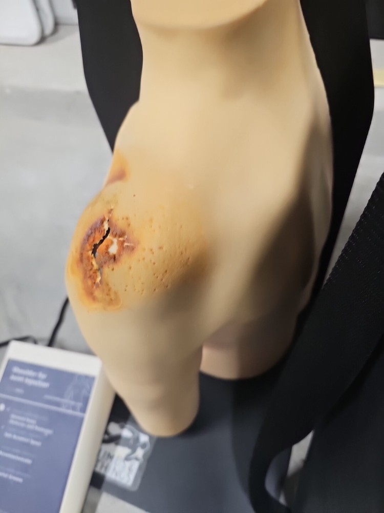 30010 Limbs & Things Shoulder for Joint Injection Training Trainer Simulator
