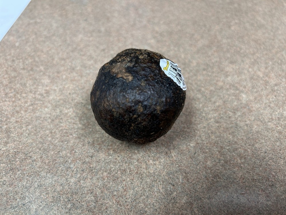 Avocado Stone