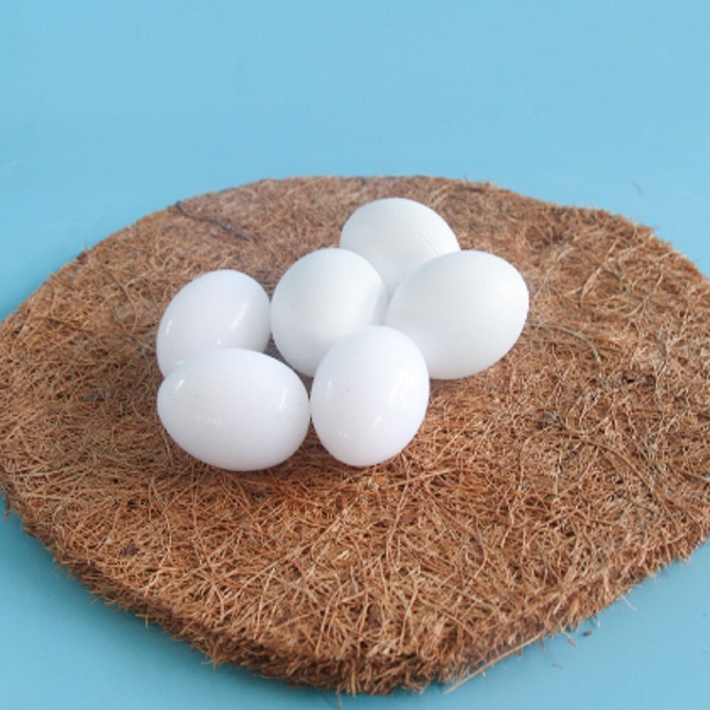 6Pcs White Solid Plastic Pigeon Dove Eggs Dummy Egg Improve Laying Survival Rate