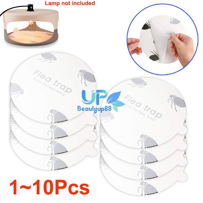 Flea Trap Refill Discs Bed Bug Gnat Trap Replacement Sticky Pads Pest Catcher