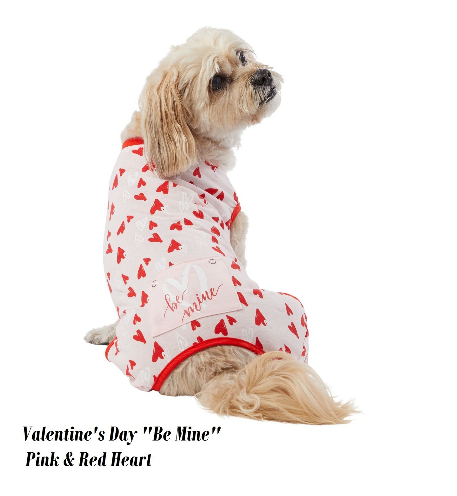 top paws Dog Valentine's Day one piece pajamas "Be Mine" Red hearts size x-small