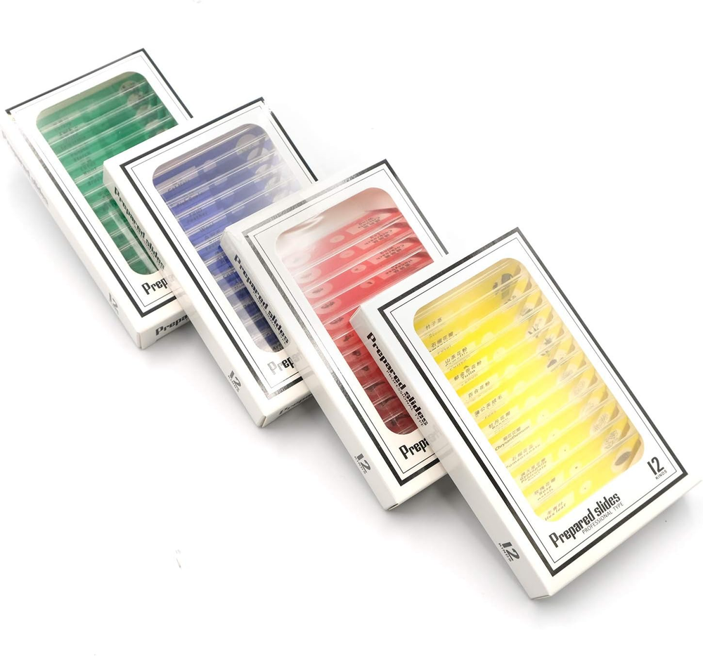 48Pcs Prepared Plastic Microscope Slides Biological Specimen with 4 Boxes for Ch