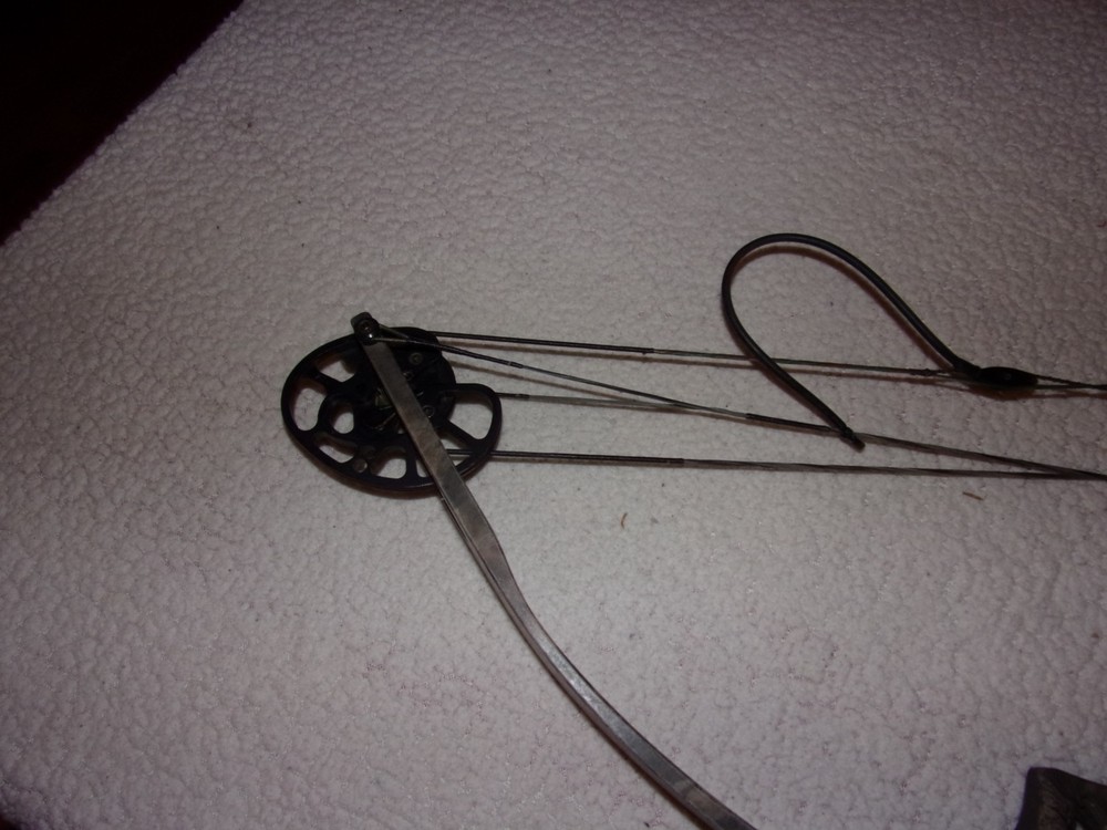 Martin Jaguar Compound Bow