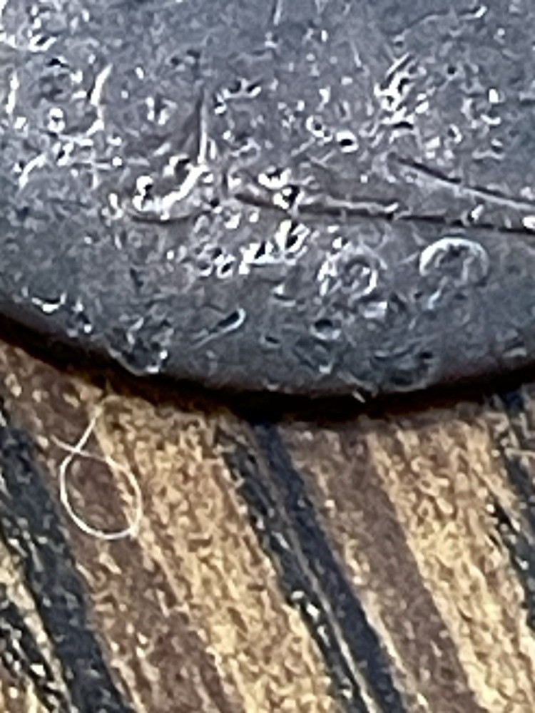 1798 Large Cent Draped Bust