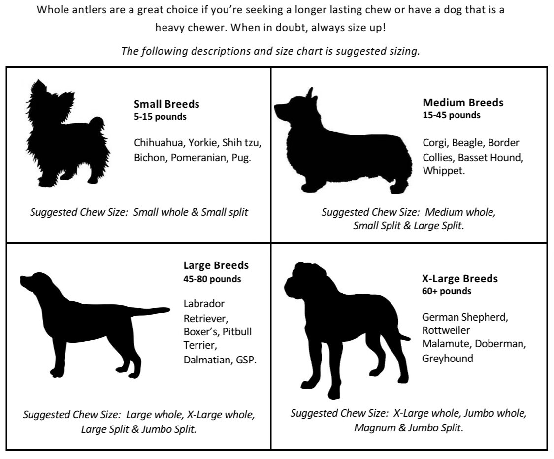 (3 PACK) JUMBO ELK ANTLER PREMIUM DOG CHEWS **OREGON ANTLER WORKS**