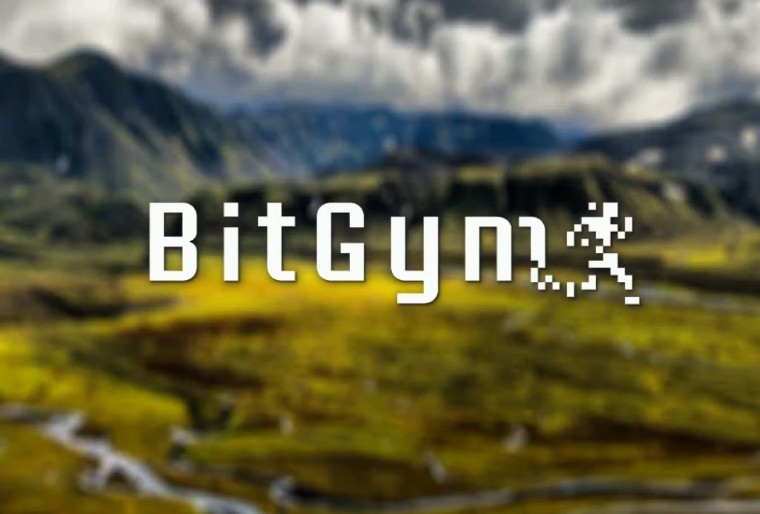 BitGym 3 Month Subscription