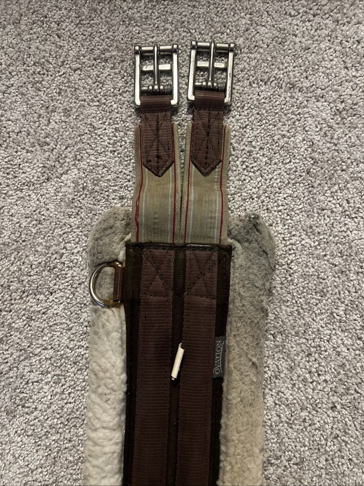 English Girth Size 54”