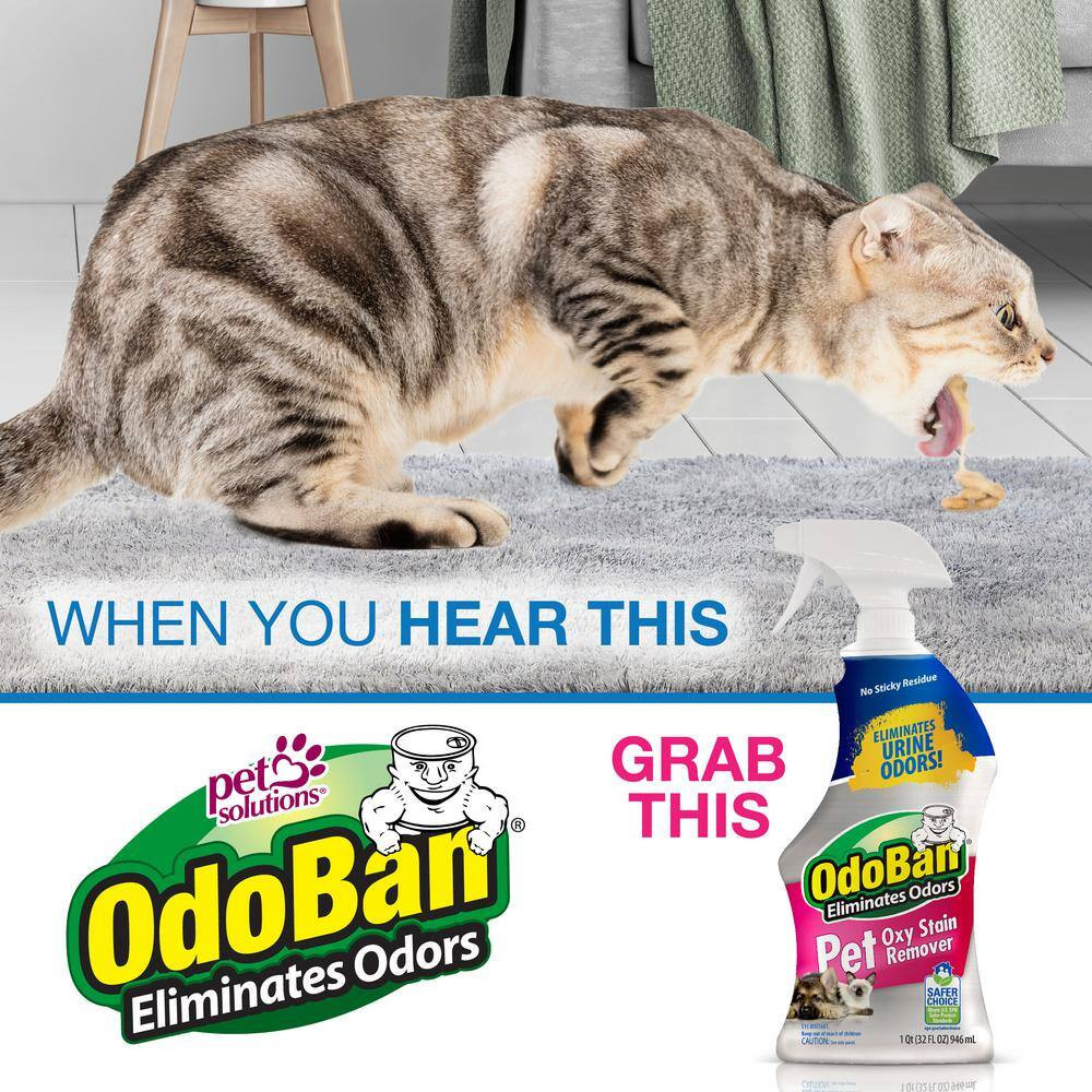 32 Oz. Pet Oxy Stain Remover (2-Pack)