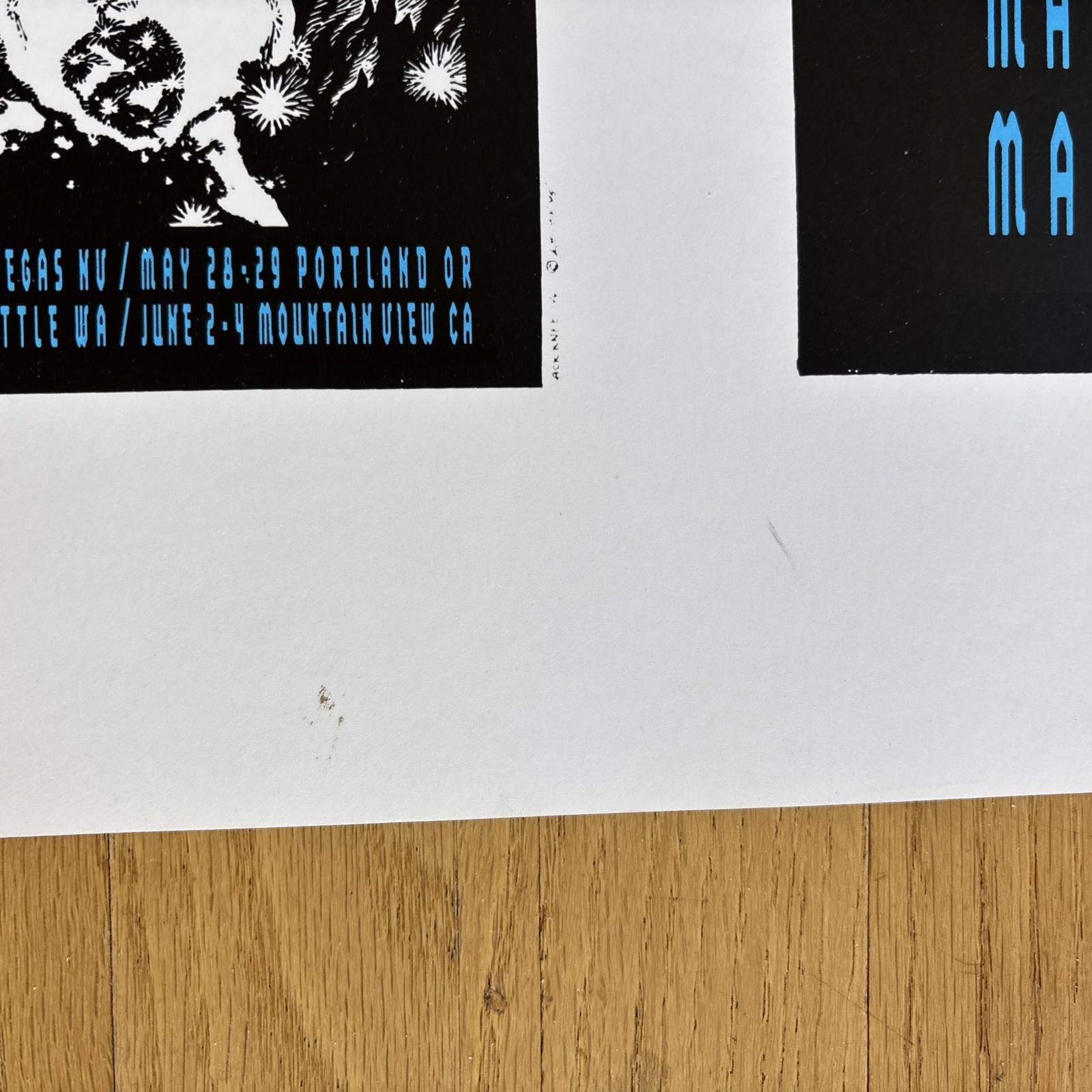 Grateful Dead 1995 Alton Kelley Uncut Variant 4 Venues