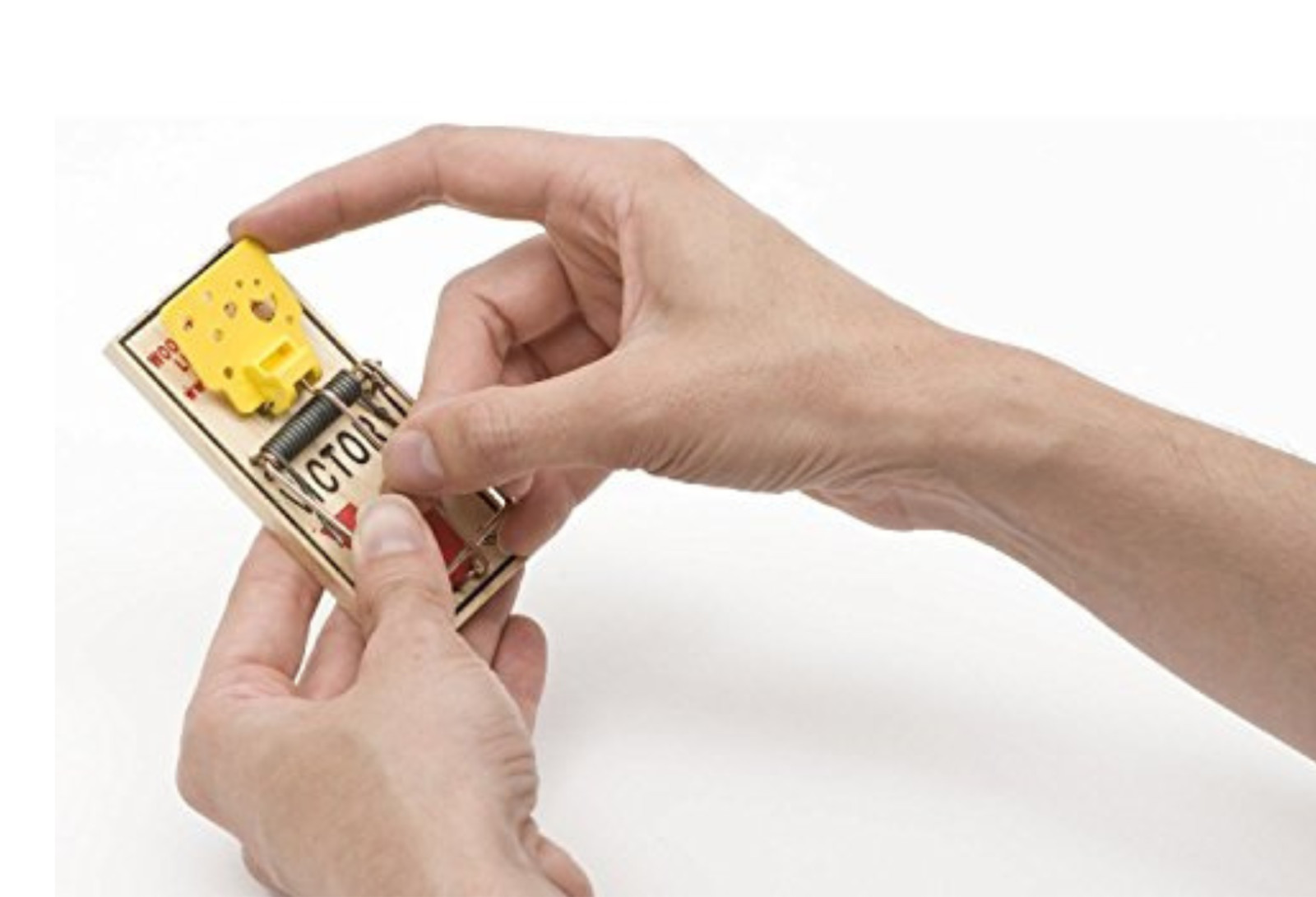 Mouse Trap - ( 4 Count )