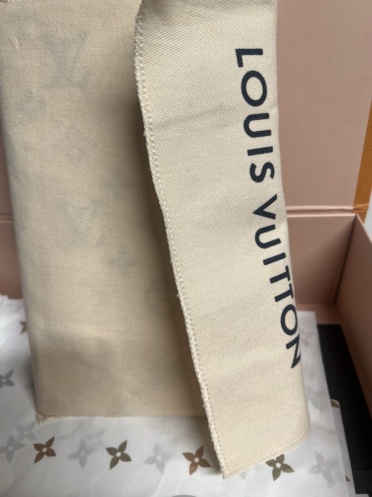 Louis Vuitton X Murakami Monogram Multicolor Jane Notebook MM
