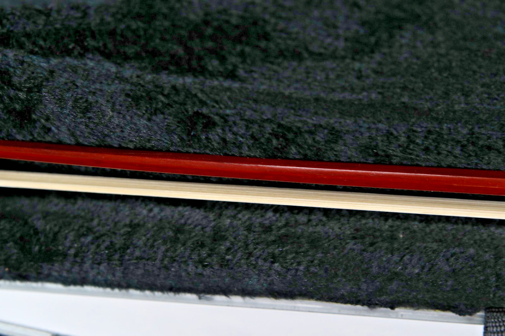 Klaus Mueller Etude Violin Model 111V16