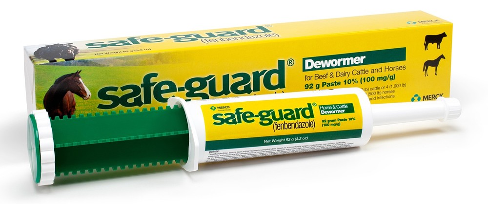 SafeGuard Paste 92gm