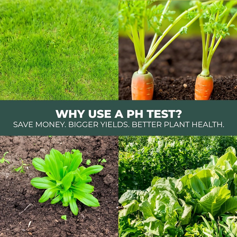 100 Strip Soil Ph Test Kit - Complete Ph Test Checker - Professional Tester for