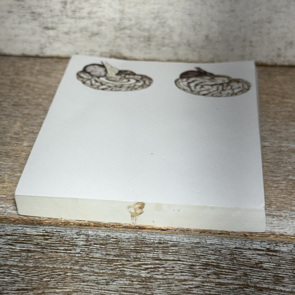 Blue Tree Publishing Assorted Brain Scanned Photos Note Pad 99 Sheets Left 5"x4"