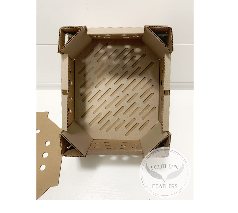 (10) High Quality Chick/Quail Shipping Boxes