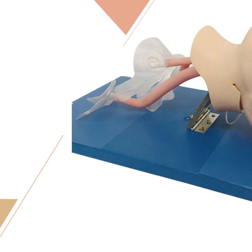Study Pediatric Oral Nasal Intubation Manikin Study Teaching Model Training PVC