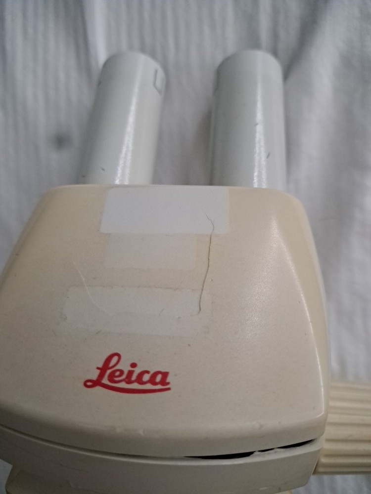 Leica MS5 Stereoscope