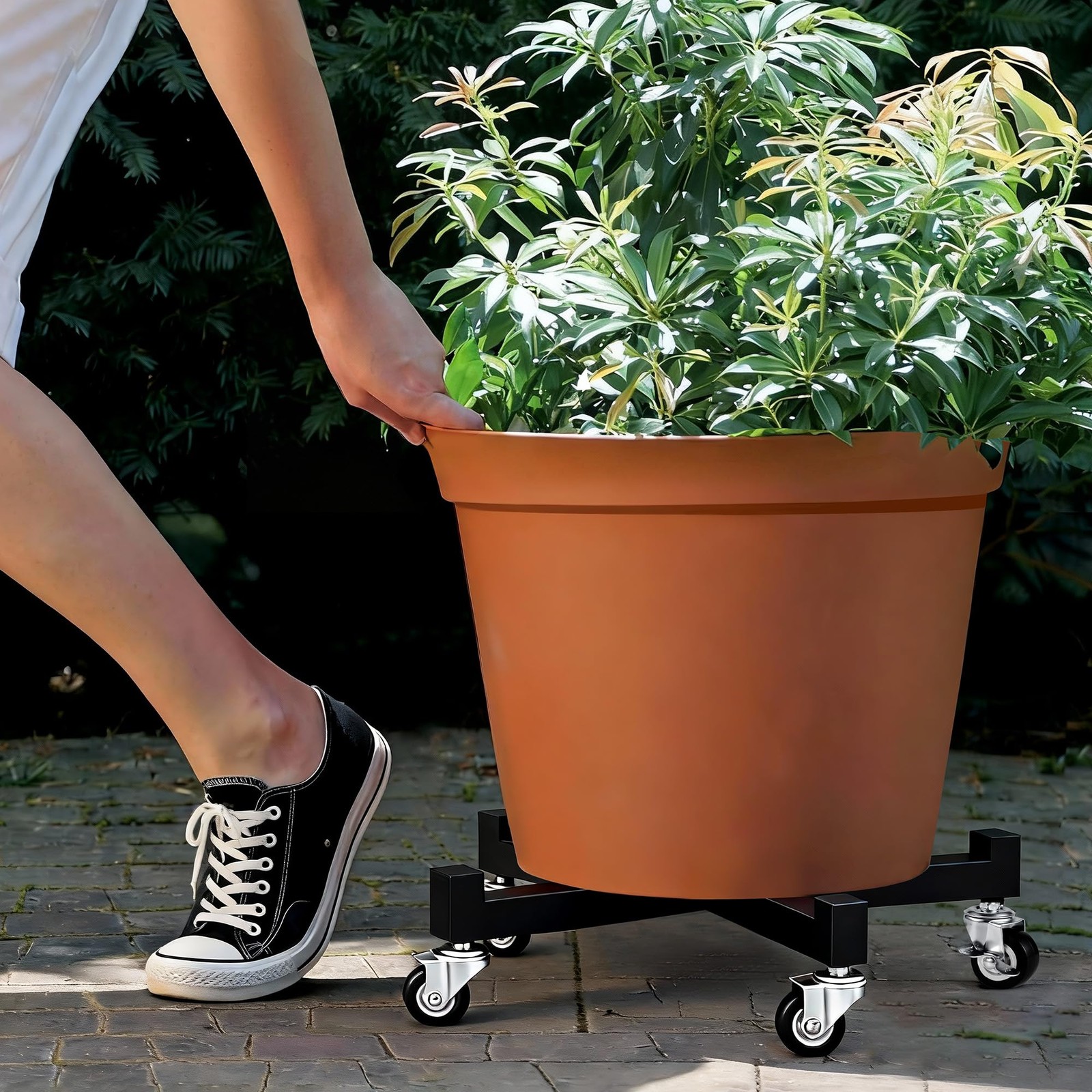 2 Pack 14" Plant Caddy with Wheels, Heavy Duty Metal Rolling Plant Dolly, Pla...