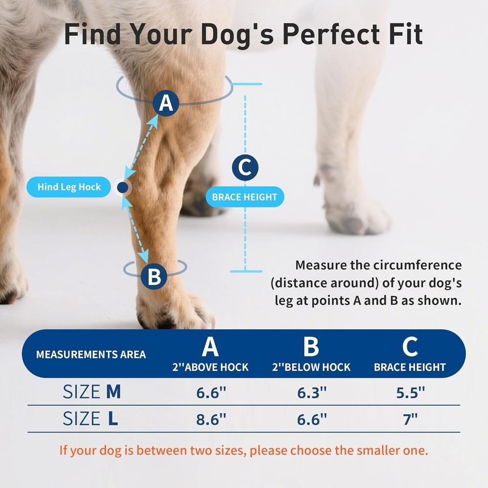 Dog Leg Braces for Rear Leg & Ankle Support - Adjustable Double Strap