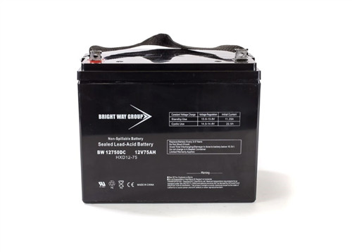 Toyo Battery 6GFM65 Battery (Replacement)