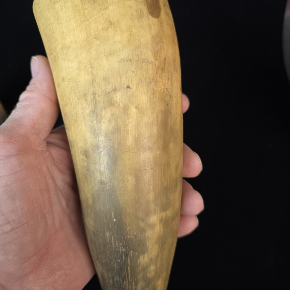 Antique Powder Horns