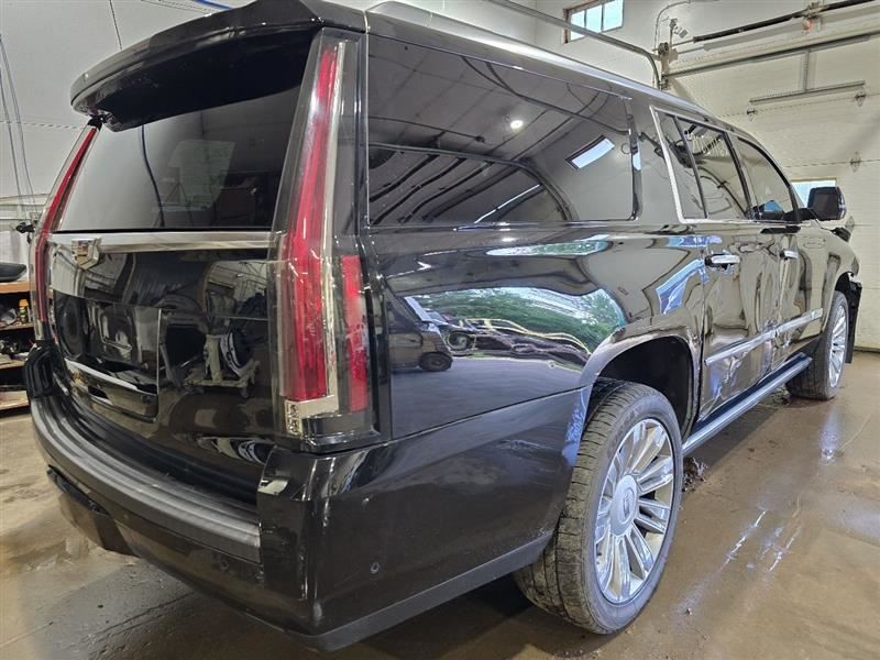 ESCALAESV 2017 Camera/Projector 590723