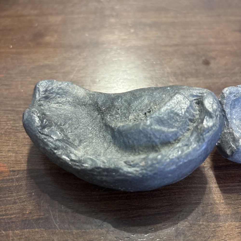 (2) 3.5 Inch Fossilized Whale Ear Bones