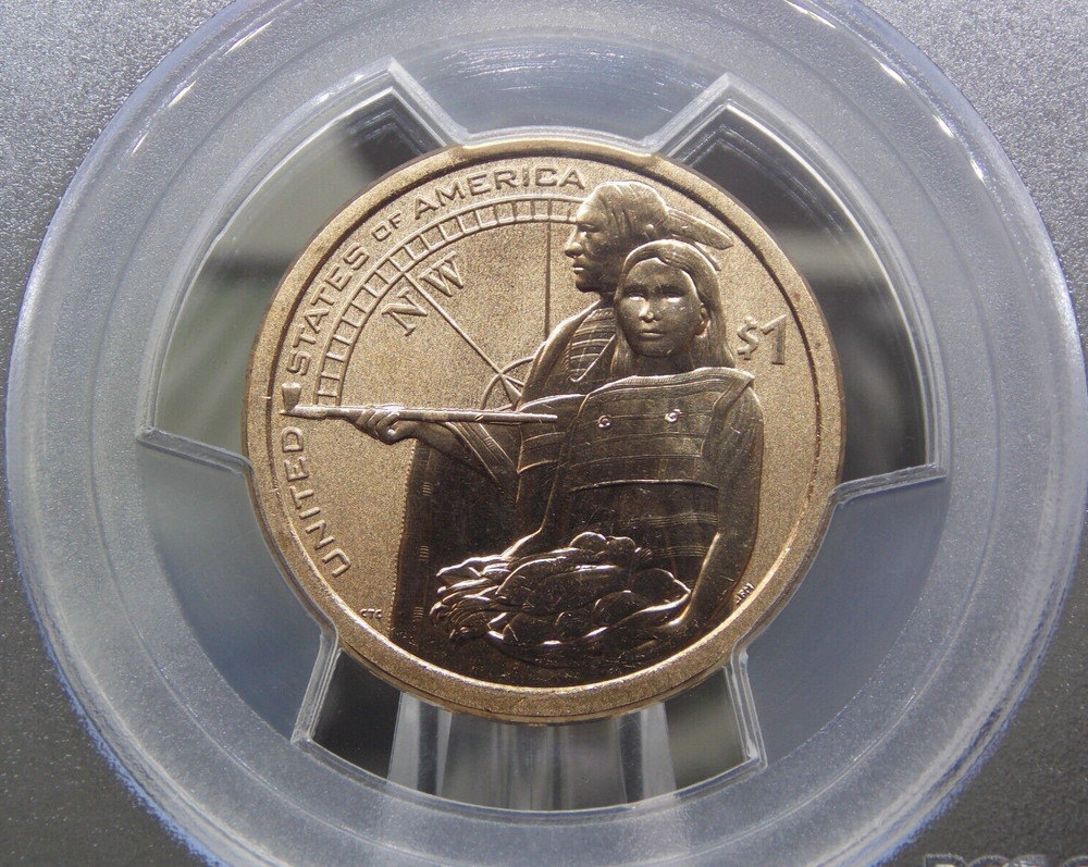 2014 "D" Native American Dollar Enhanced Position (B) $1 PCGS MS69 #VAR FS ECC&C