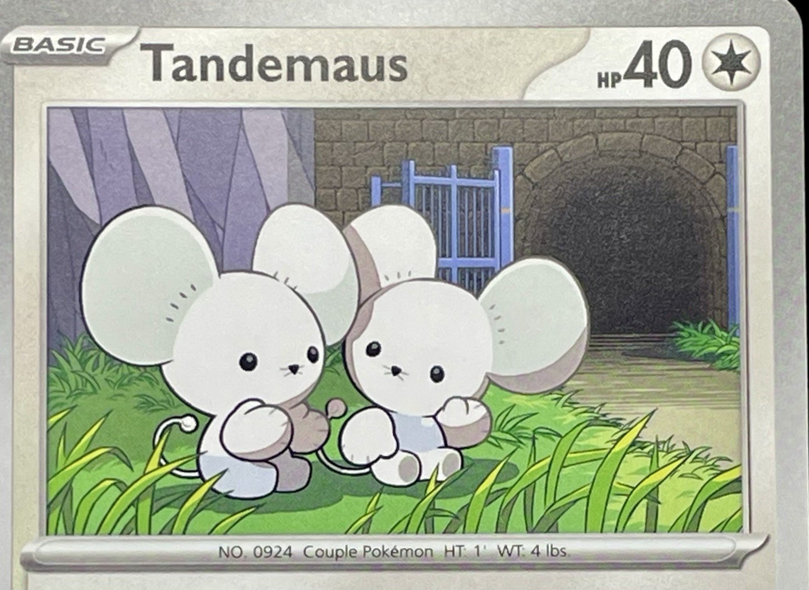 7x Tandemaus Lot - All 7 Scarlet & Violet Commons [Unique Artwork] Pokemon NM/M