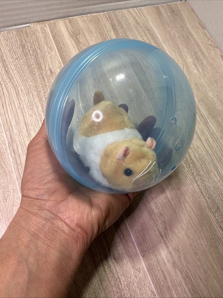 Hamster Running Ball Rabbit Toy Rolling, Pre Owned