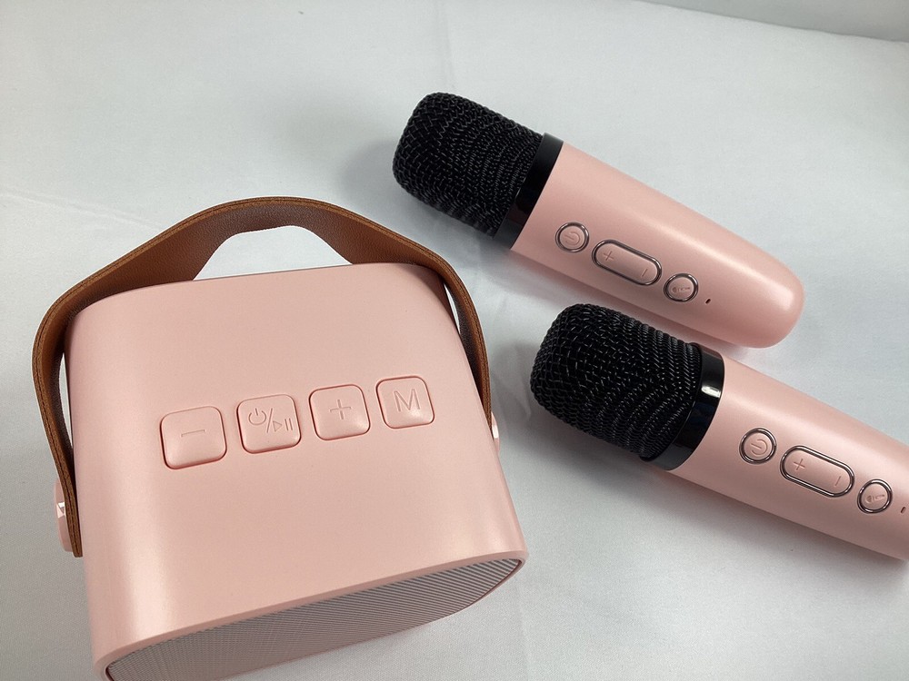 Portable Karaoke Machine with 2 Wireless Microphones Mini Bluetooth Speaker